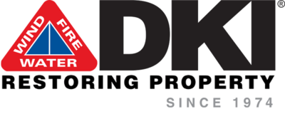 DKI Franchise Profile