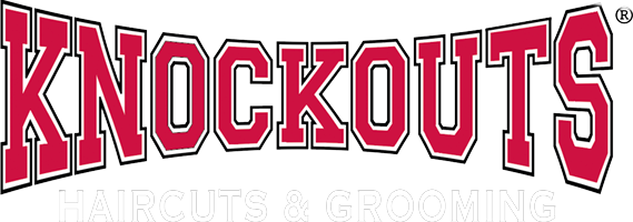 Knockouts Haircuts for Men Franchise Profile